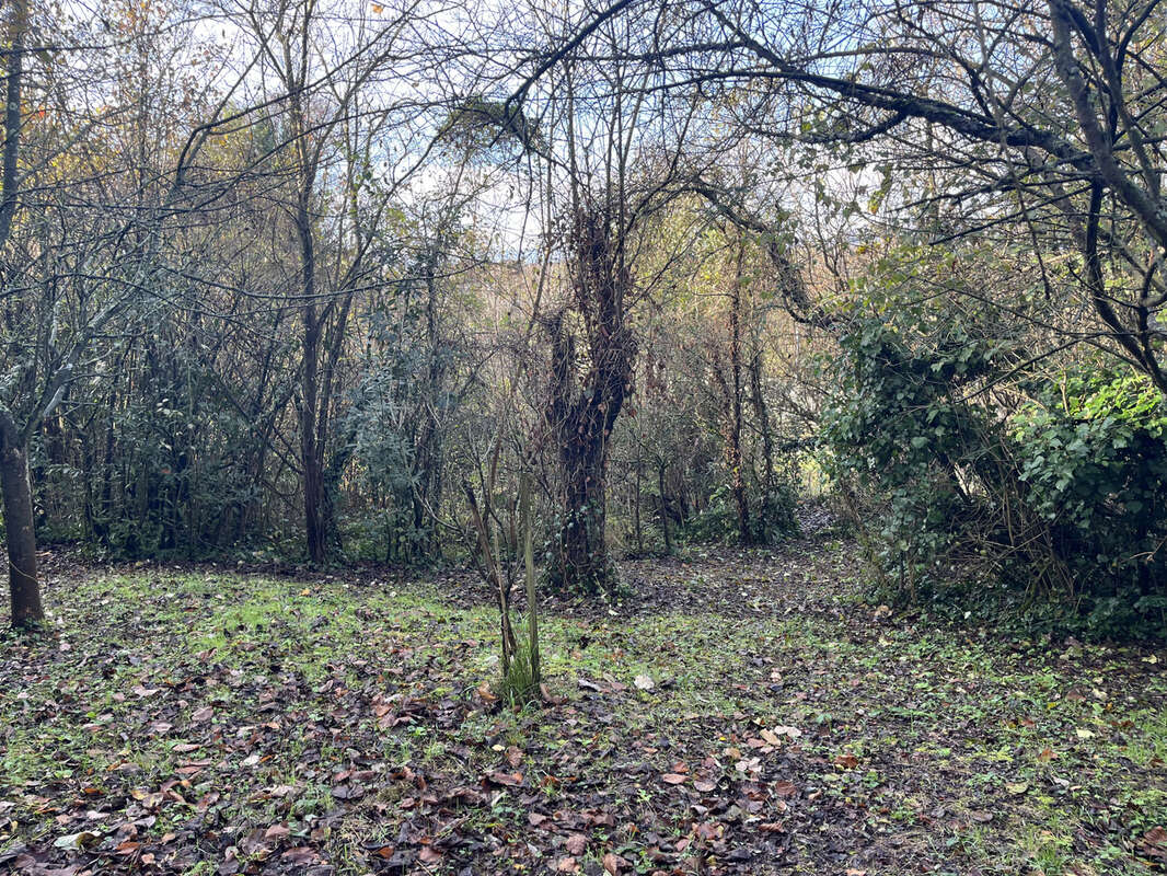 Maison à RILLIEUX-LA-PAPE