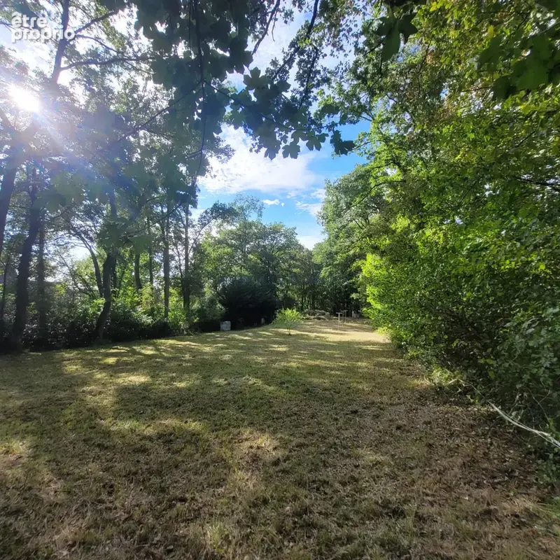 Septeuil - terrain à bâtir de 1300 m2 viabilisé. - photo 2