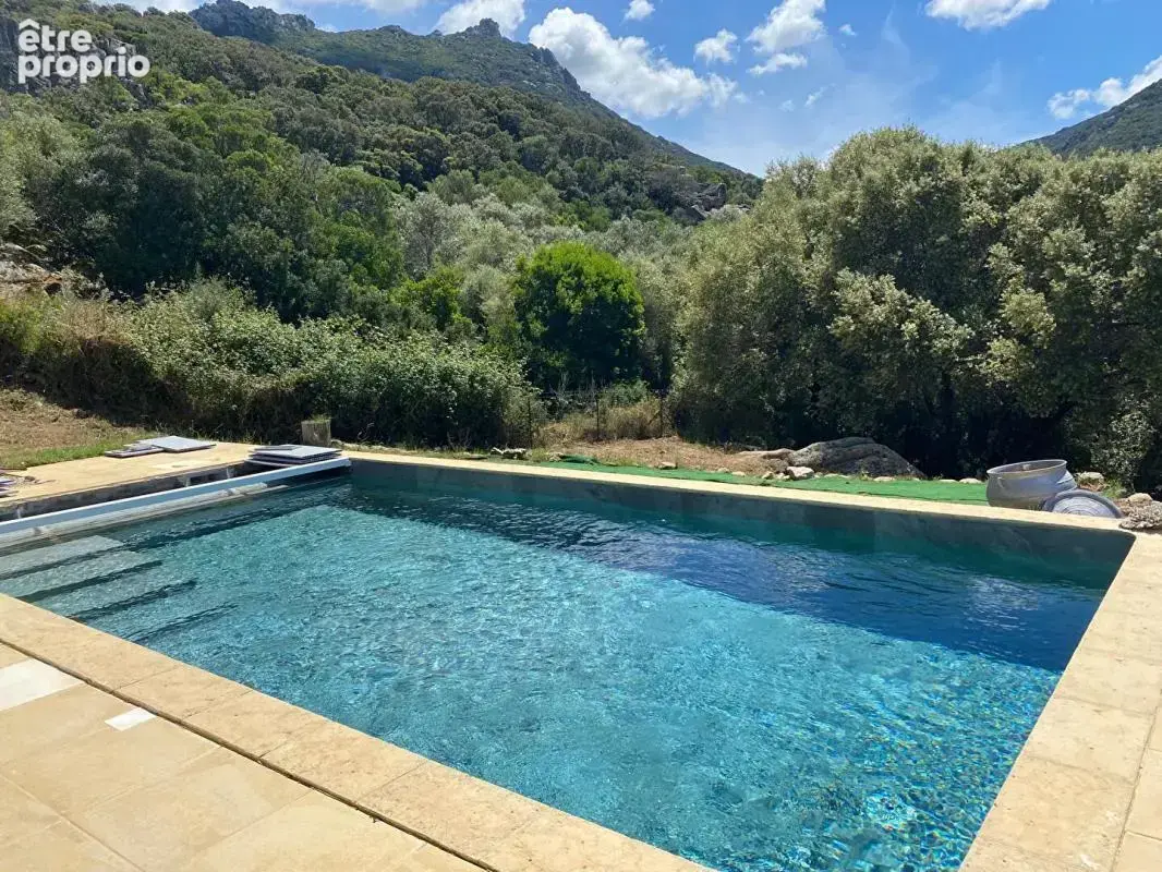Propriano, Superbe propriété de 2 villas, piscine, vue mer, terrain de 3793 m2, vue panoramique - photo 3