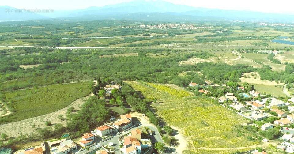Terrain 200 m² à Banyuls-Dels-Aspres  - photo 2
