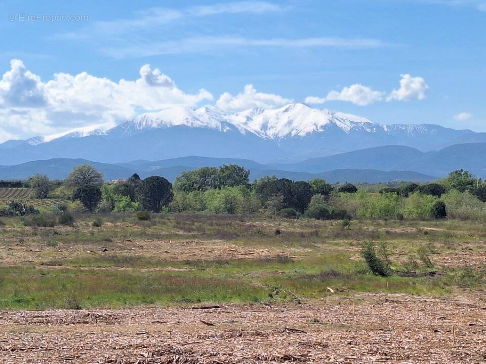 Terrain à VILLEMOLAQUE