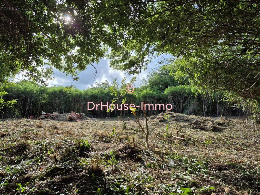 Terrain à LE VAUCLIN