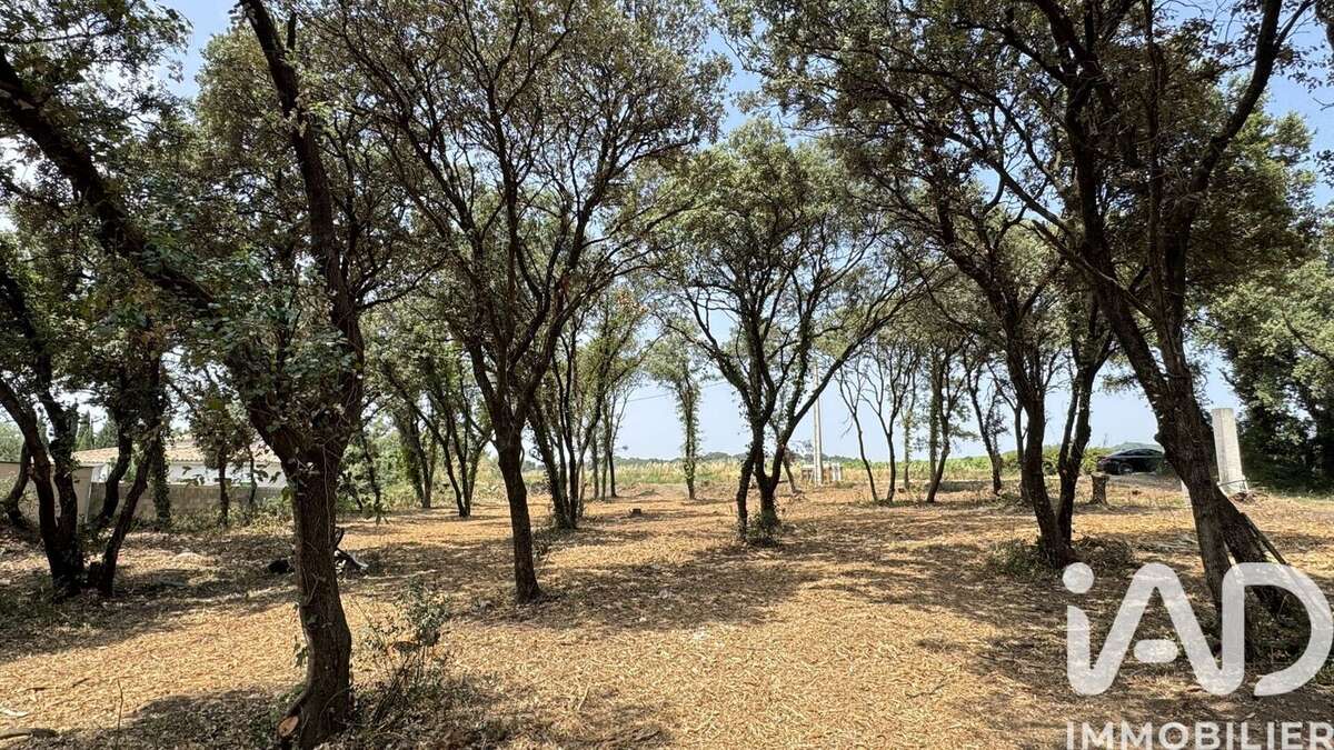 Photo 4 - Terrain à BEDARRIDES