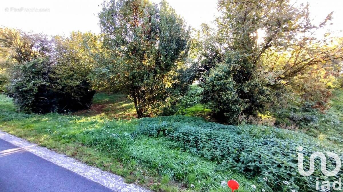 Photo 1 - Terrain à SAVENAY