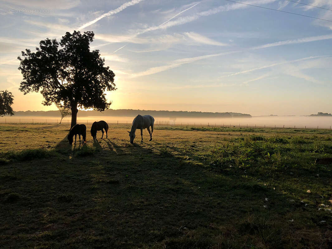 Maison à LA FERTE-SOUS-JOUARRE