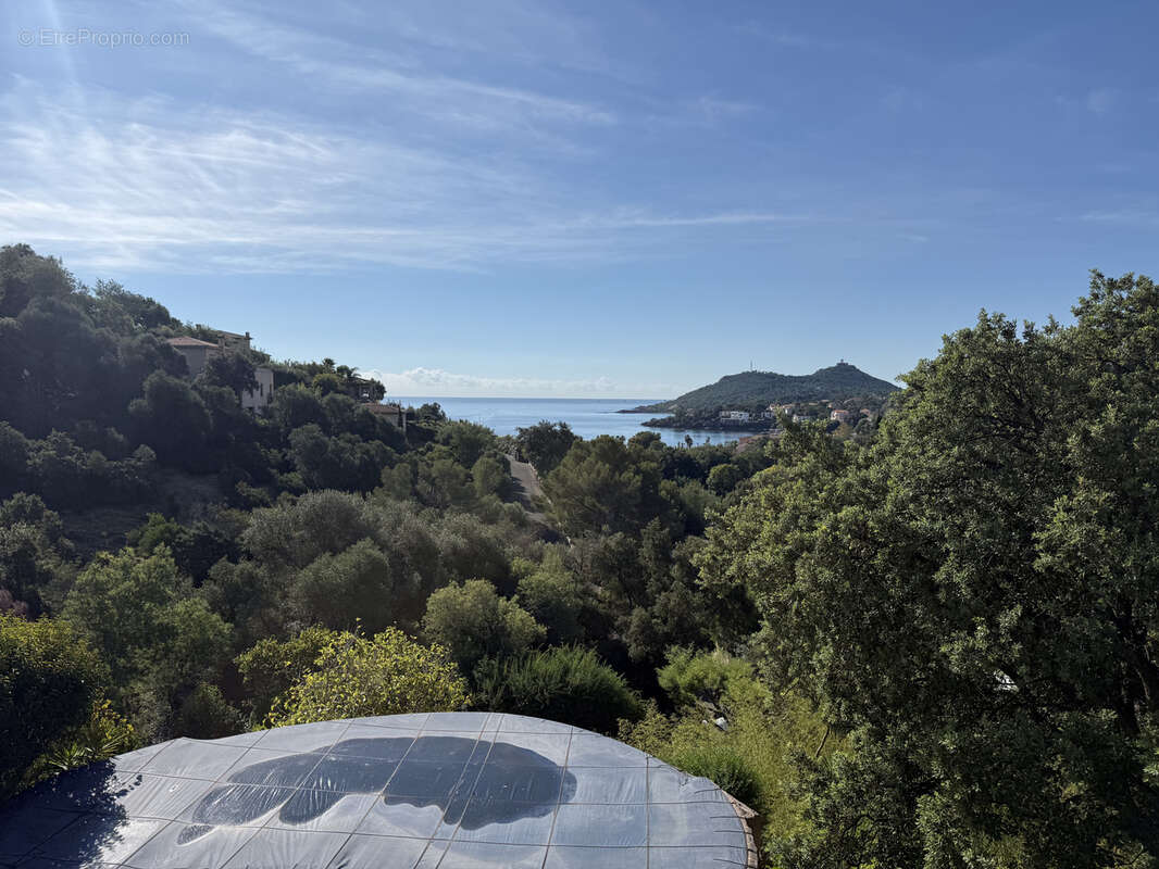 Maison à LA SEYNE-SUR-MER
