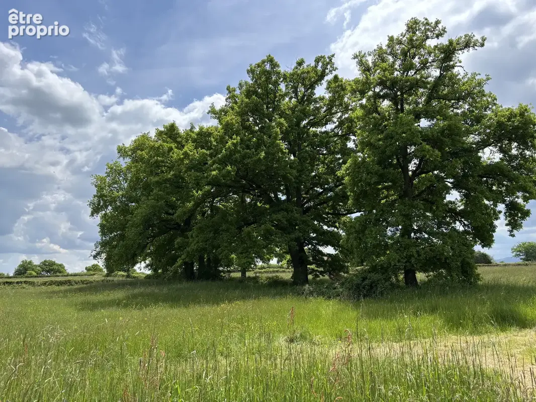Voussac   Maison avec grande grange sur 3,89 hectares de terrain - photo 37