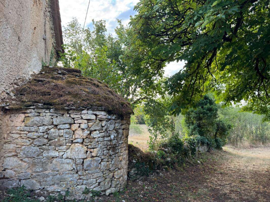 Maison Longère de caractère 4 pièces - 2 ha - Piscine - Dépendance 125m² - photo 26