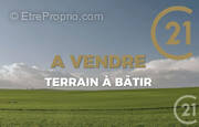 Terrain à OZOUER-LE-VOULGIS
