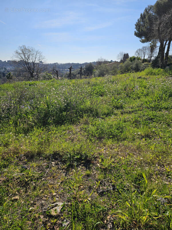Terrain à VALBONNE