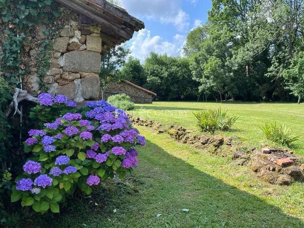 Maison à MAZEROLLES