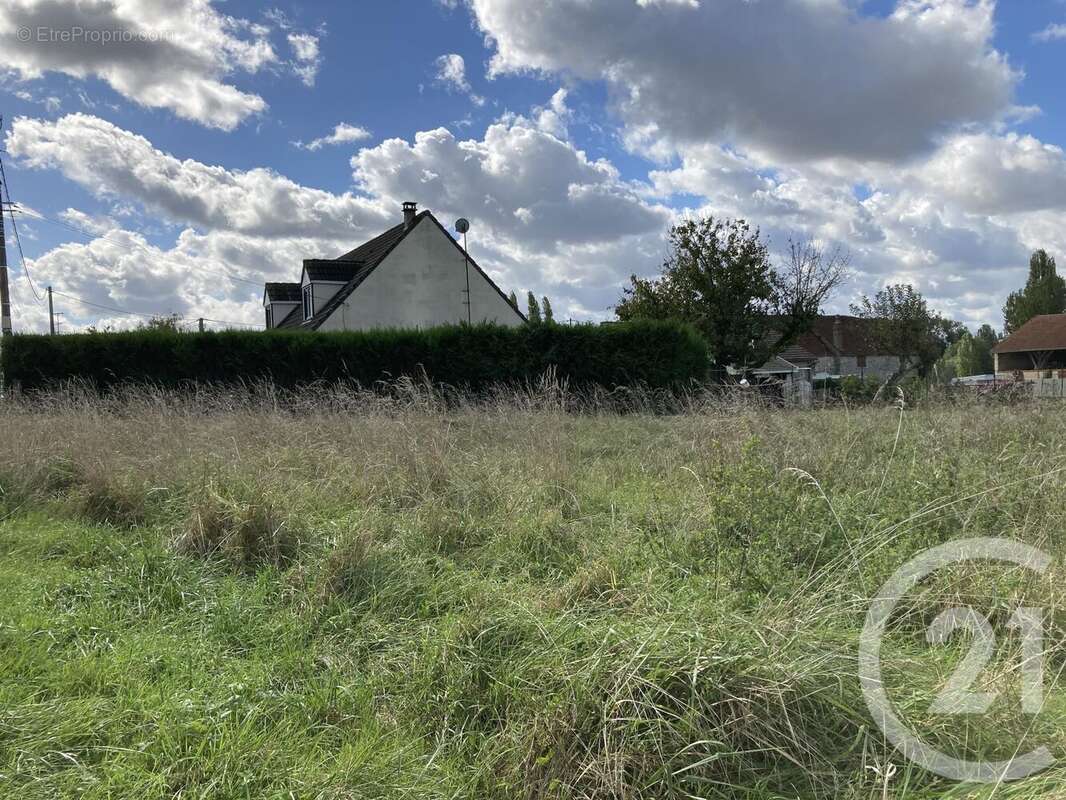 Terrain à VIEUX-CHAMPAGNE