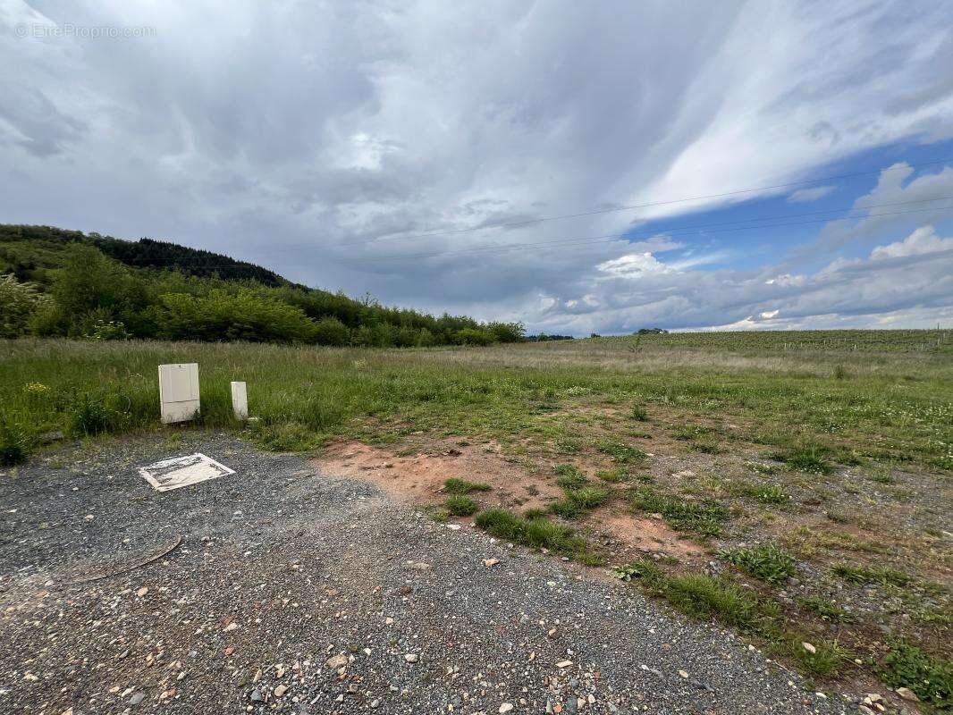 Terrain à MONTMELAS-SAINT-SORLIN
