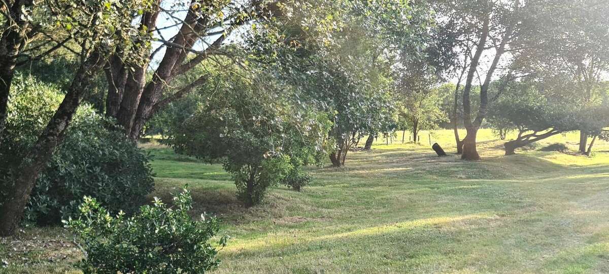 Photo 9 - Maison à LA BOISSIERE-DES-LANDES