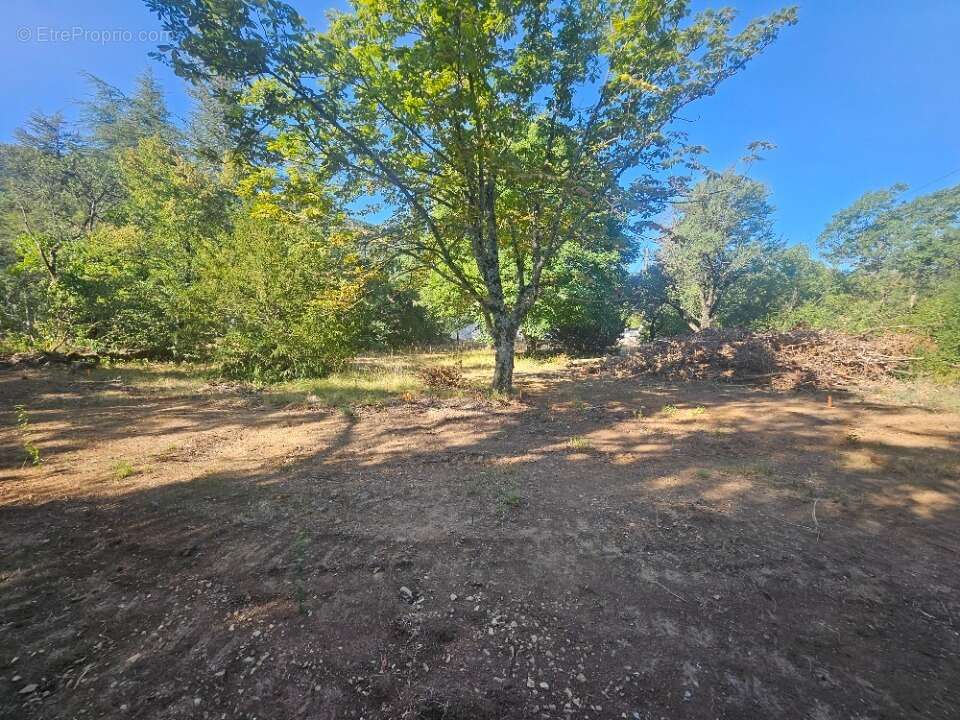 Terrain 167 m² à Plan-D'aups-Sainte-Baume  - photo 4