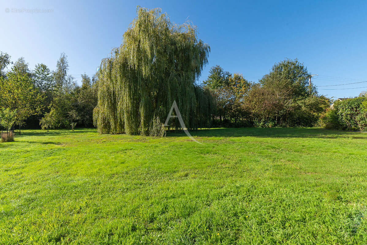 Maison à BRISSARTHE