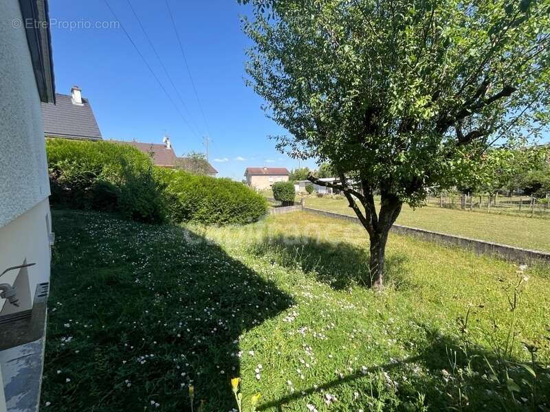 Maison à CHEVIGNY-SAINT-SAUVEUR