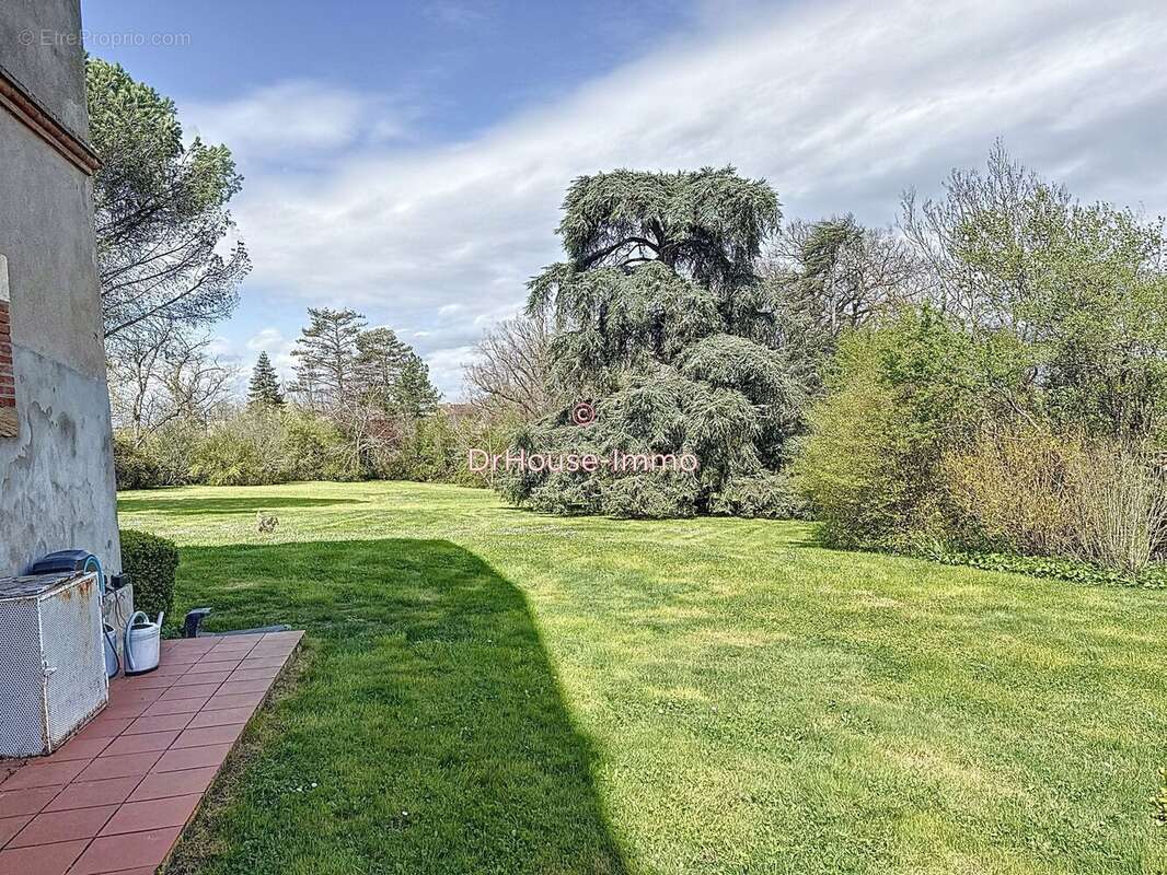 650 m² à Albi  - photo 7