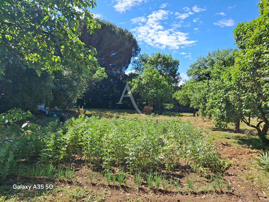 Maison L Isle Jourdain sur presque 3590 m² de terrain - photo 3
