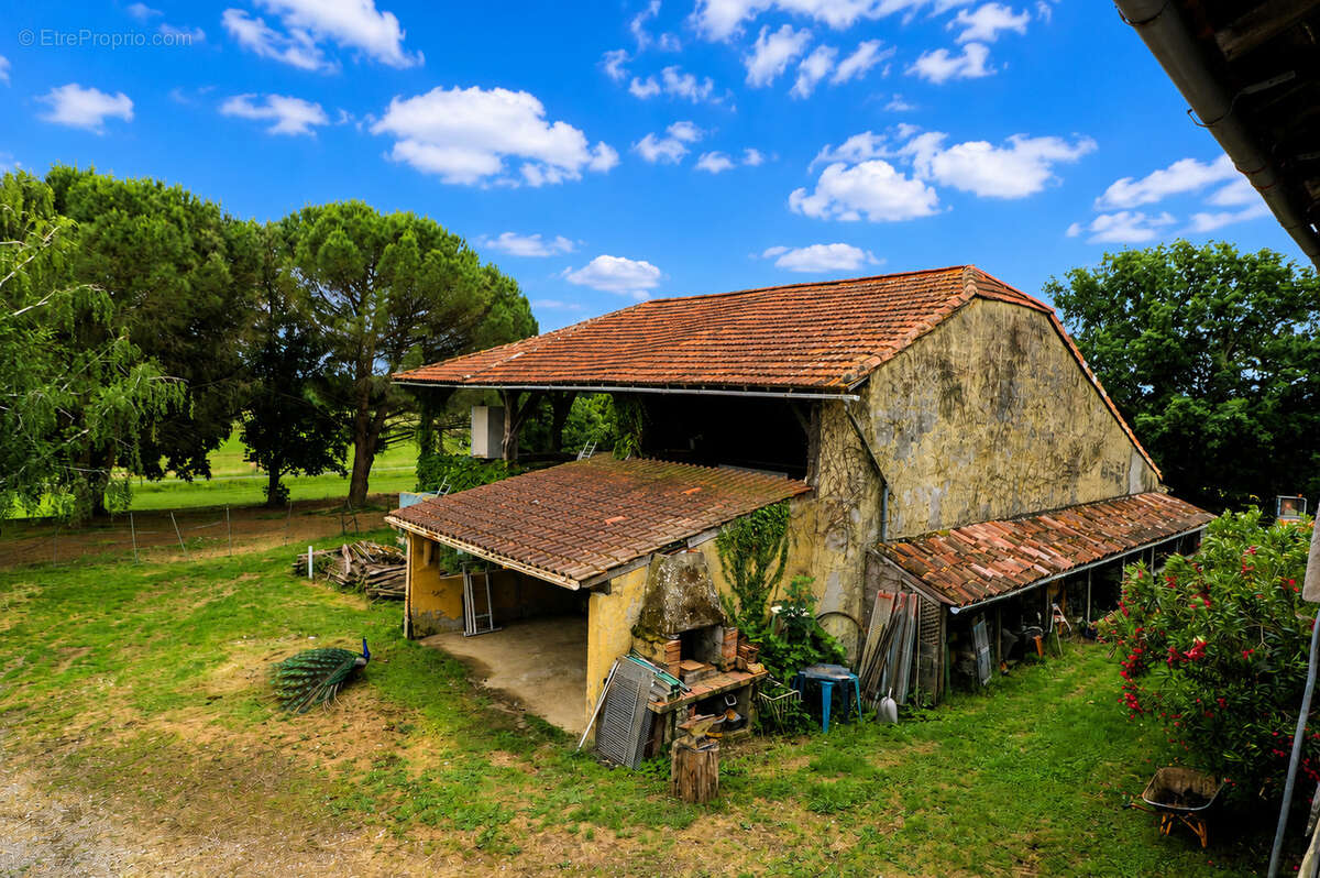 Maison à MASSEUBE