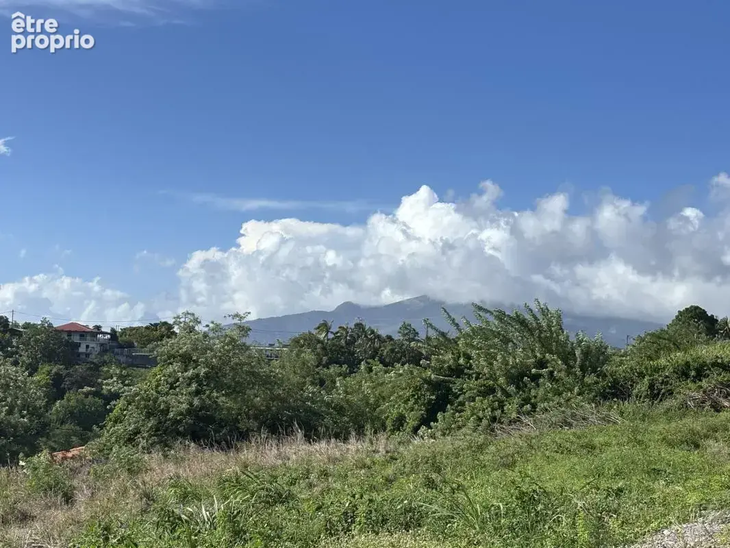 A vendre : terrain 750m² au carbet (97221) - photo 4