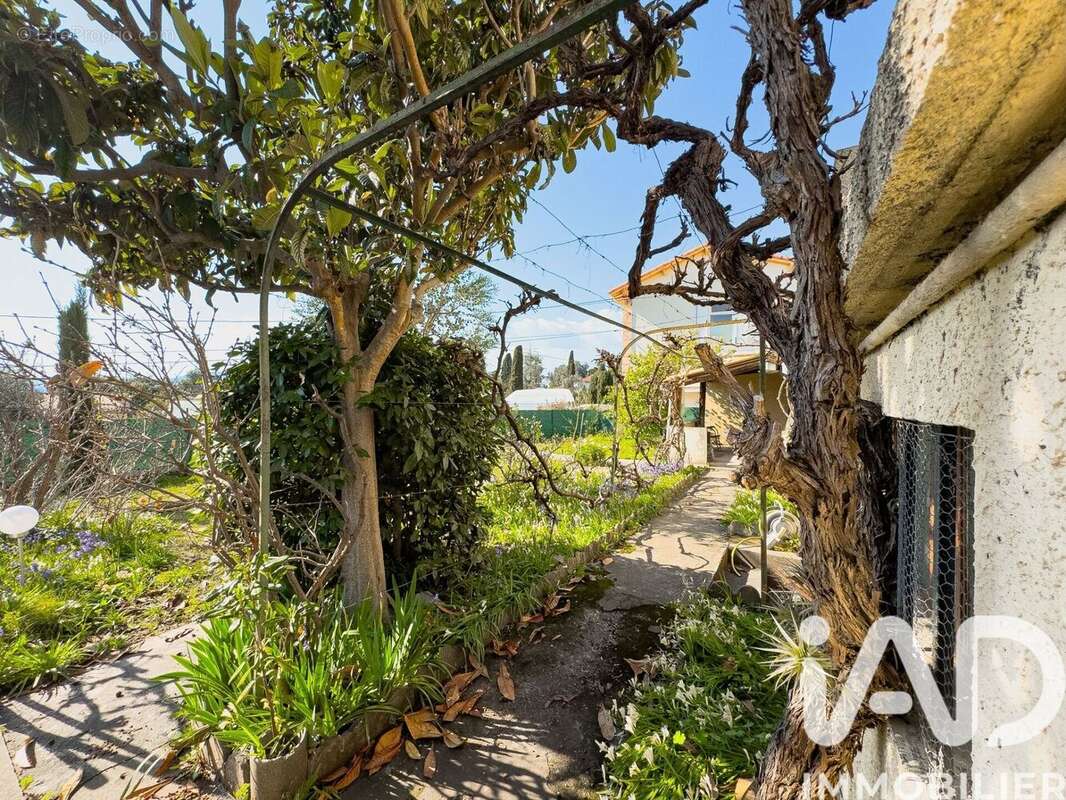 Photo 6 - Appartement à CANNES