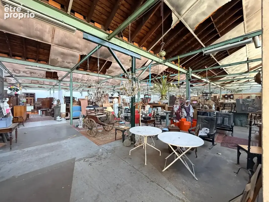 Commerce 1 899 m² à vendre à Villeurbanne (69100) - photo 4