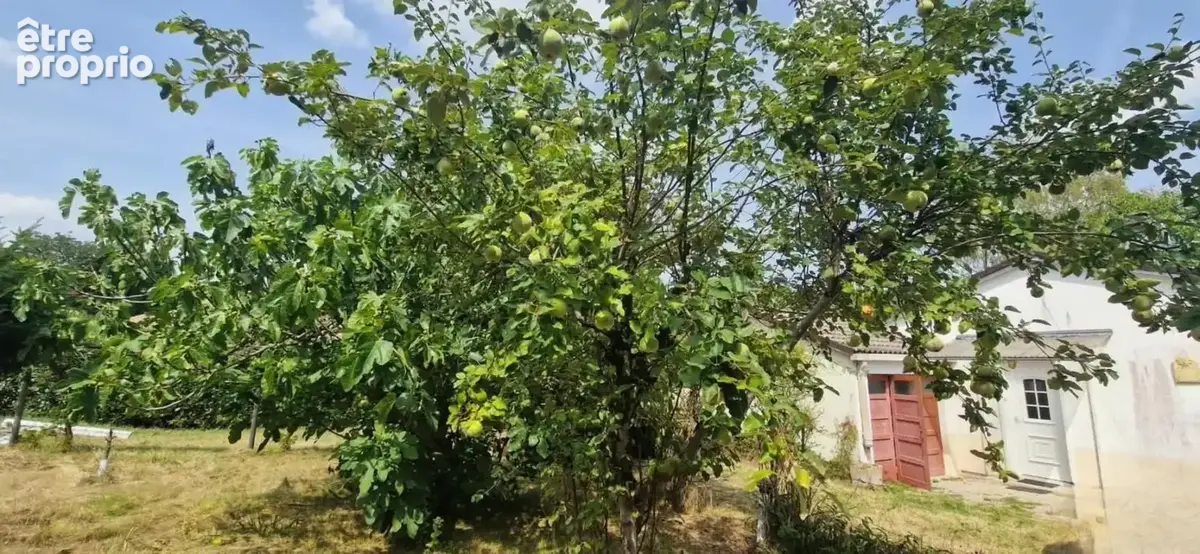 Maison à vendre 4 pièces FIRMI (12) - photo 20