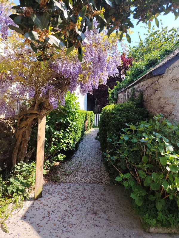 Maison à LE MINIHIC-SUR-RANCE