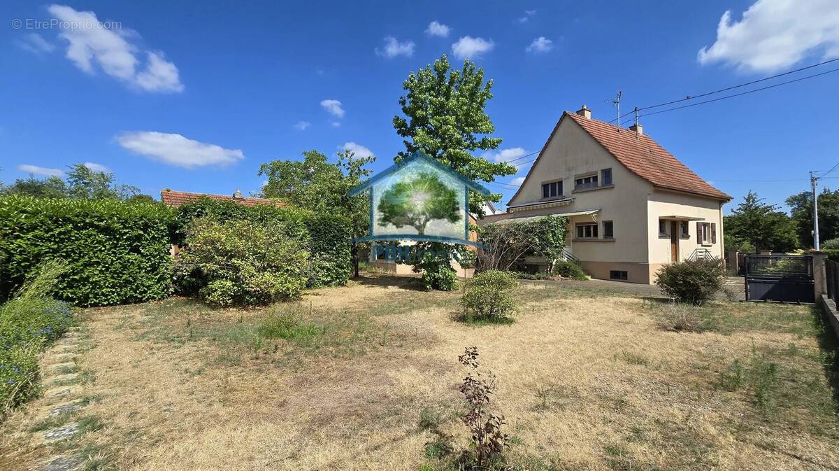 Haguenau (67) - maison 139 m² sur 7,04 ares - photo 3