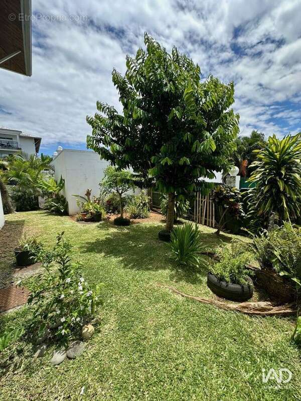 Photo 7 - Appartement à BRAS-PANON