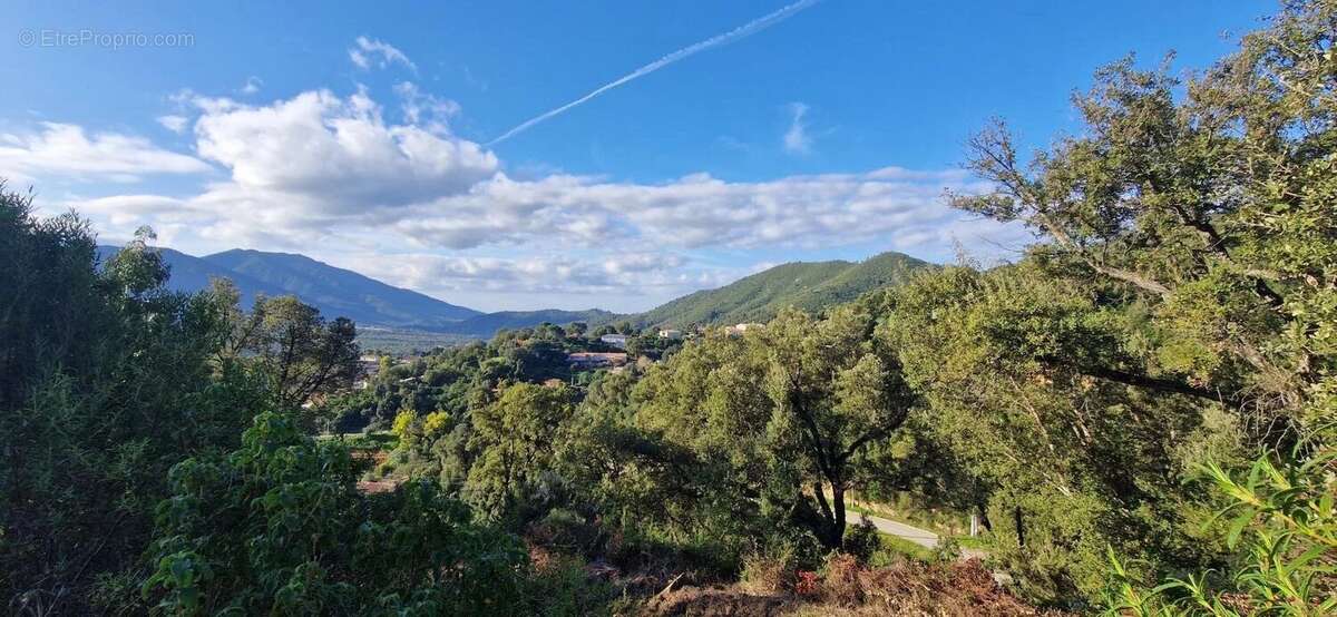 Terrain à SARROLA-CARCOPINO