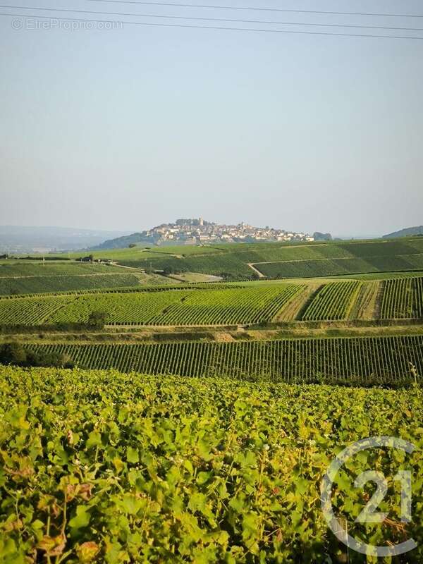 Maison à SURY-EN-VAUX