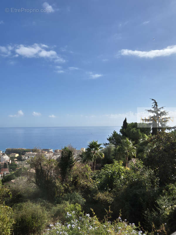 Maison à ROQUEBRUNE-CAP-MARTIN