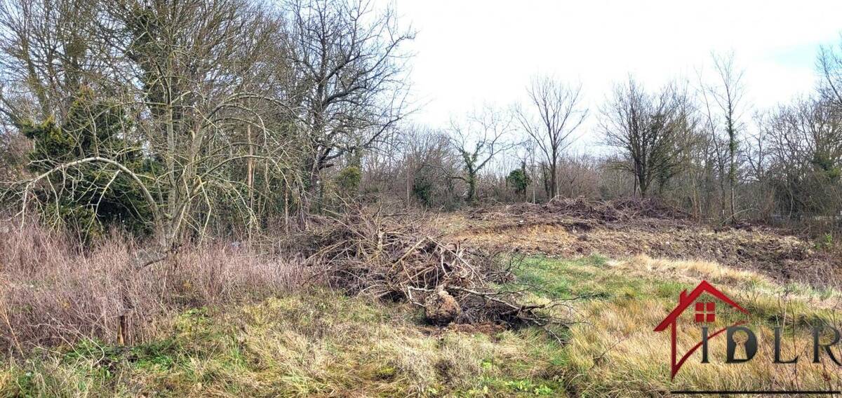 Terrain à SOIGNOLLES-EN-BRIE