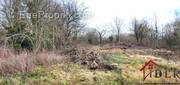 Terrain à SOIGNOLLES-EN-BRIE