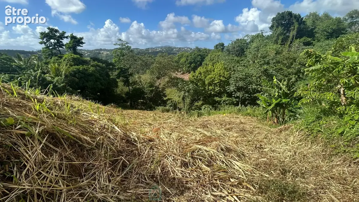 Terrain 800 m² à vendre à Riviere-Salee (97215) - photo 4