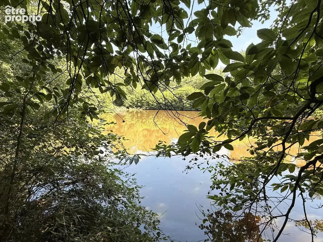 Étang privé de loisirs et de pêche avec bois proche de Montrollet - photo 7