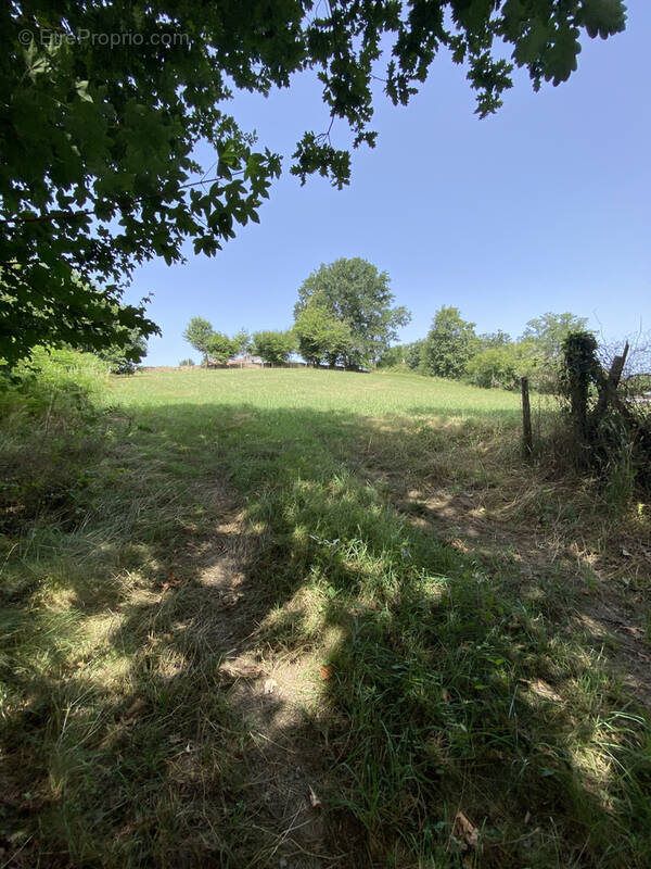 Terrain à SAUVELADE