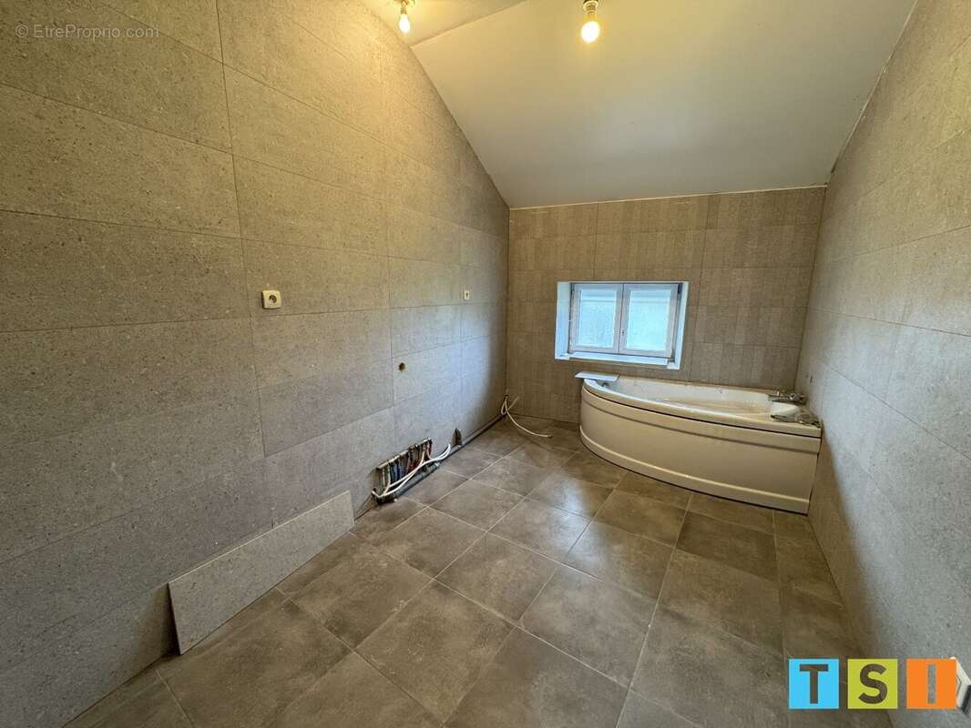 Maison à VILLENEUVE-DE-RIVIERE