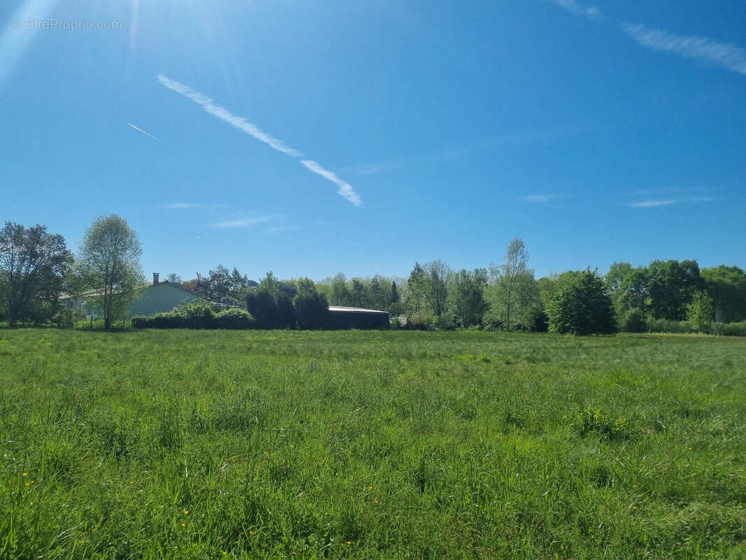 Terrain à BAZAS