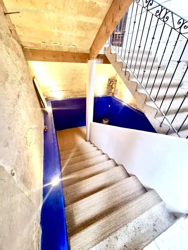 Ancien couvent du XVIIe siècle à Arles — 485 m² sur 5060 m² de terrain - photo 4