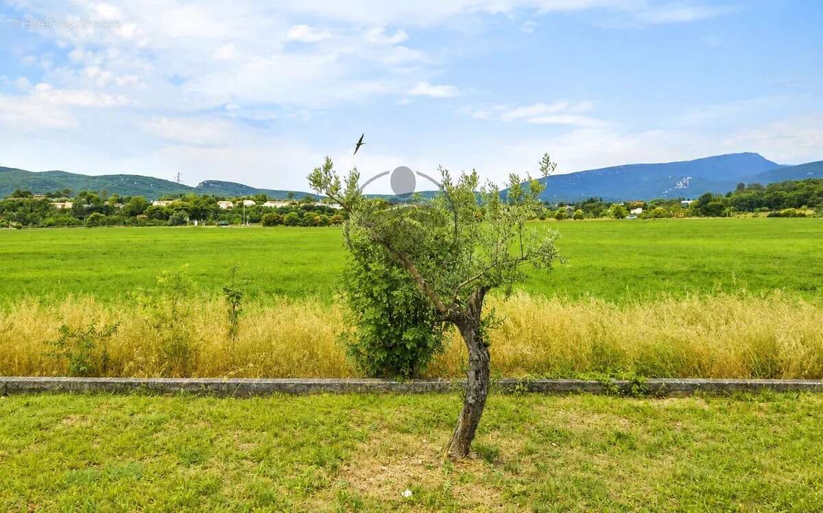 Maison Provençale de caractère - photo 16