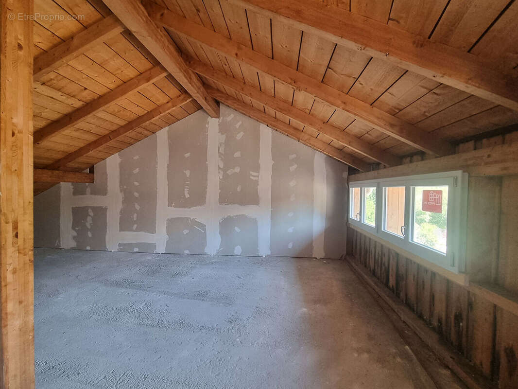 À saisir plateau à aménager aux fins - 50m² - 15 minutes de la frontiere suisse - photo 5