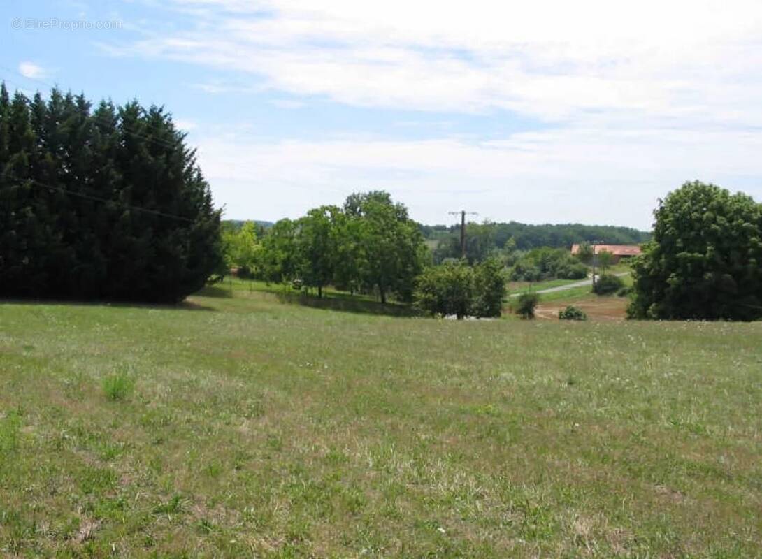 Terrain à SINGLEYRAC