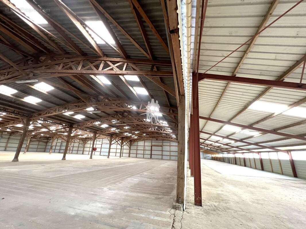 4100 m² à Gaillon  - photo 5