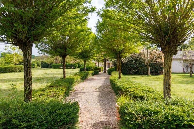 Propriété à vendre 8 pièces, 10 min de Paray Le Monial(71) - photo 15
