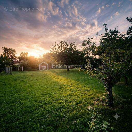 Terrain à vendre  887 m² à Blagnac - photo 17