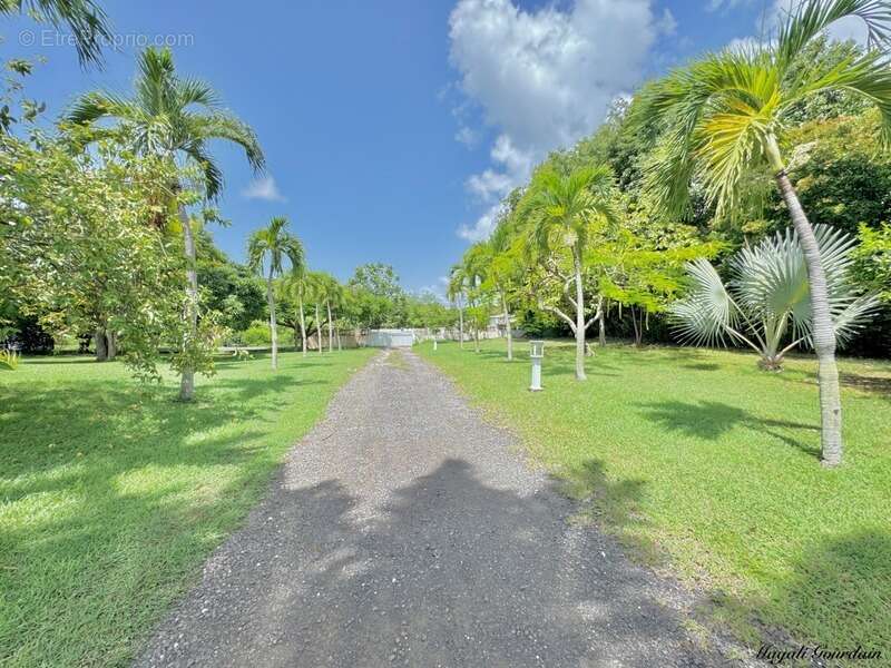 Commerce à SAINT-FRANCOIS