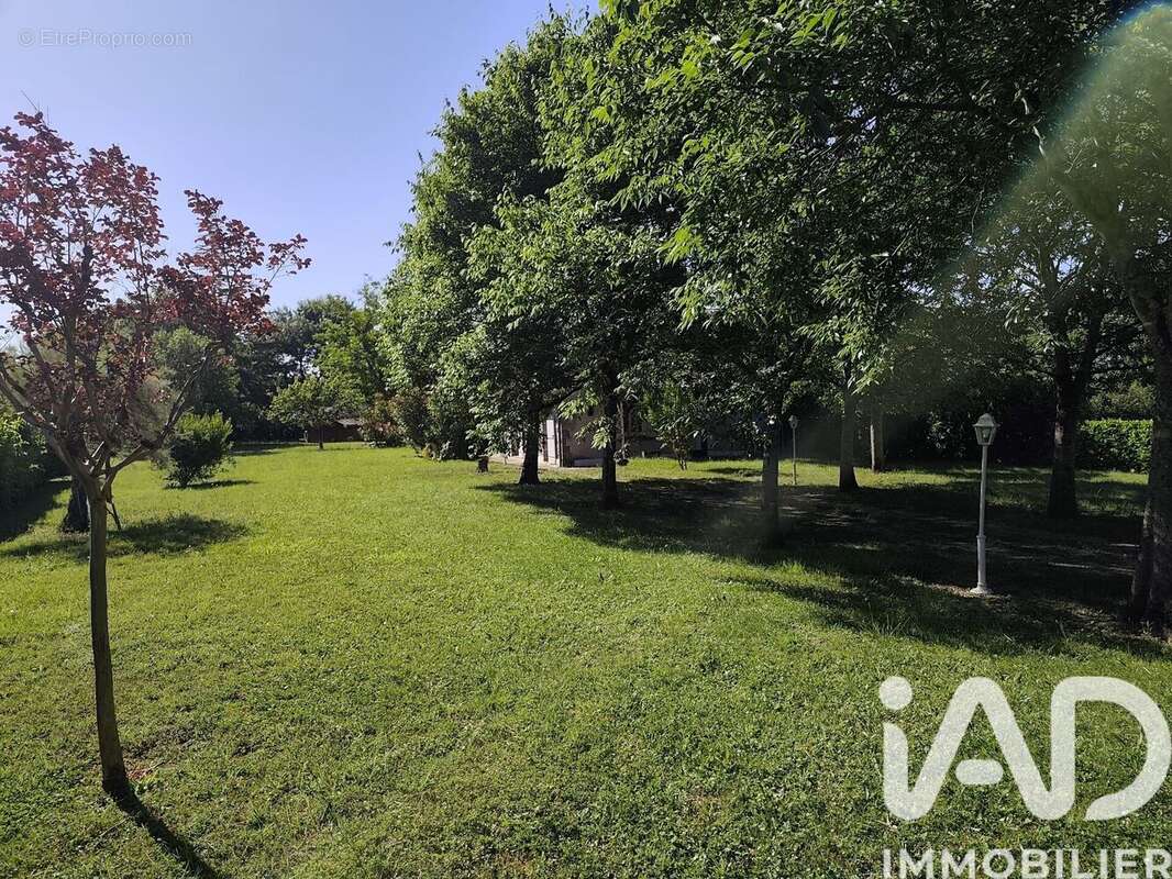 Maison 208 m² à Port-Sainte-Marie  - photo 3